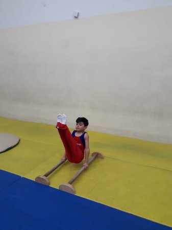 İdman gimnastikada başlanır- FOTO